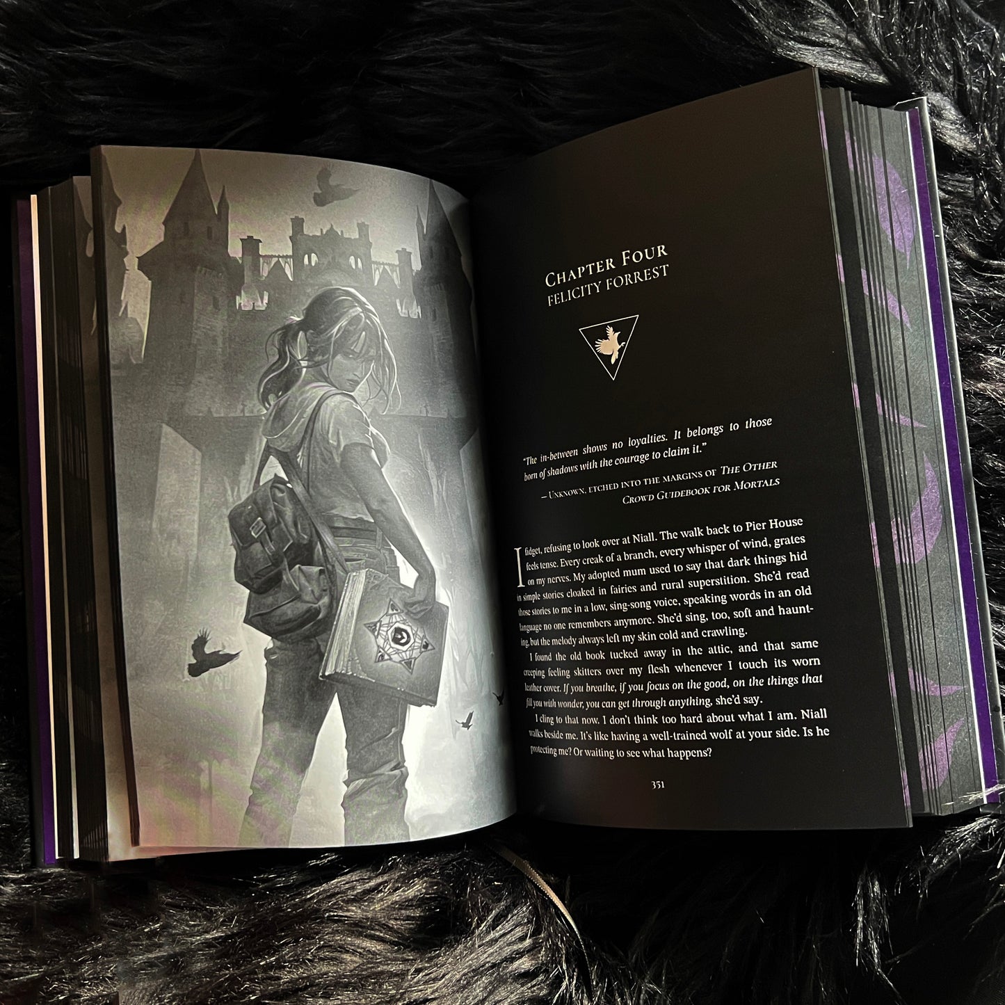 Queen of Shadows Special Edition Hardback (Dark Fae Edition)